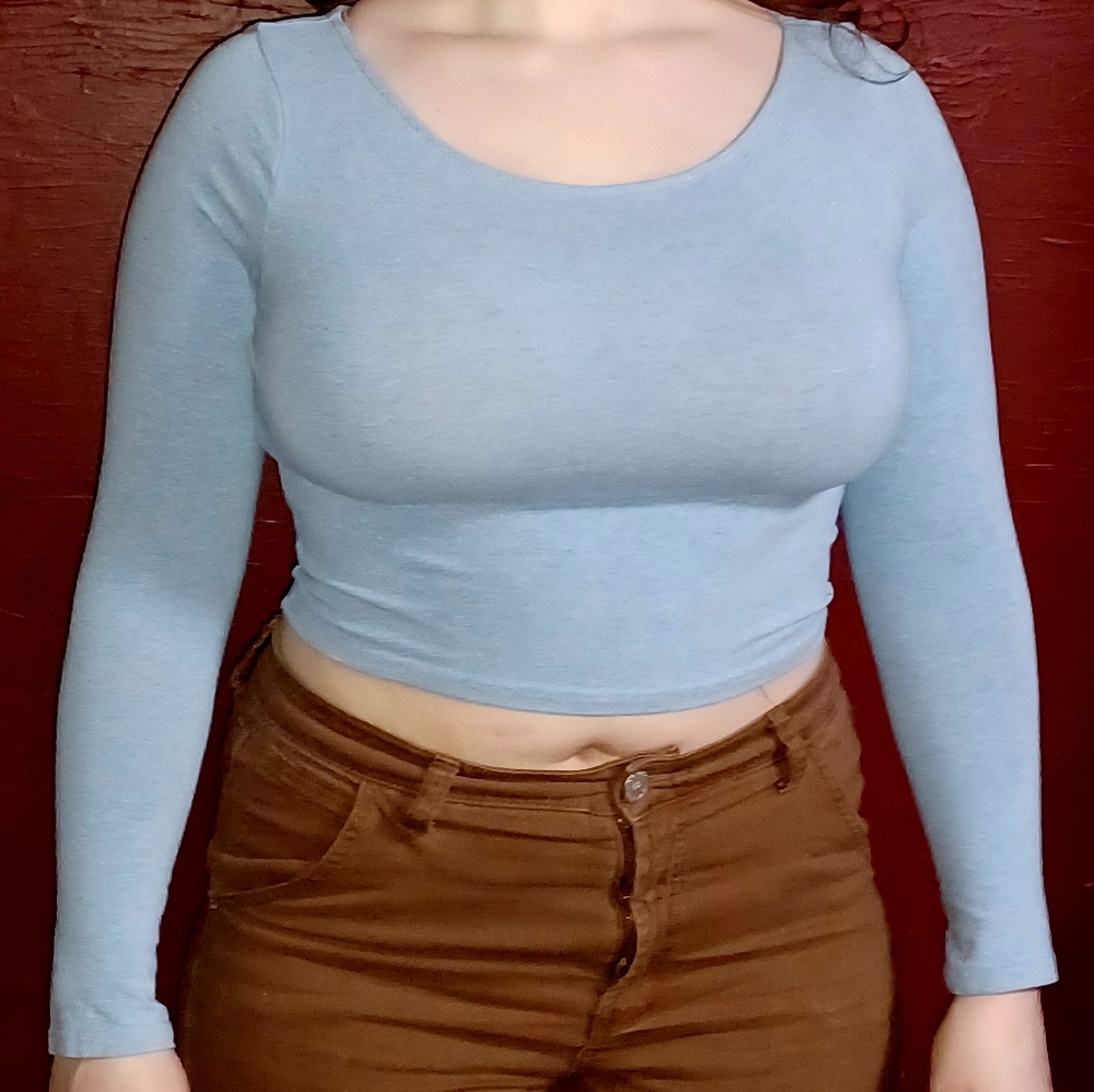 Fitted Blue Top